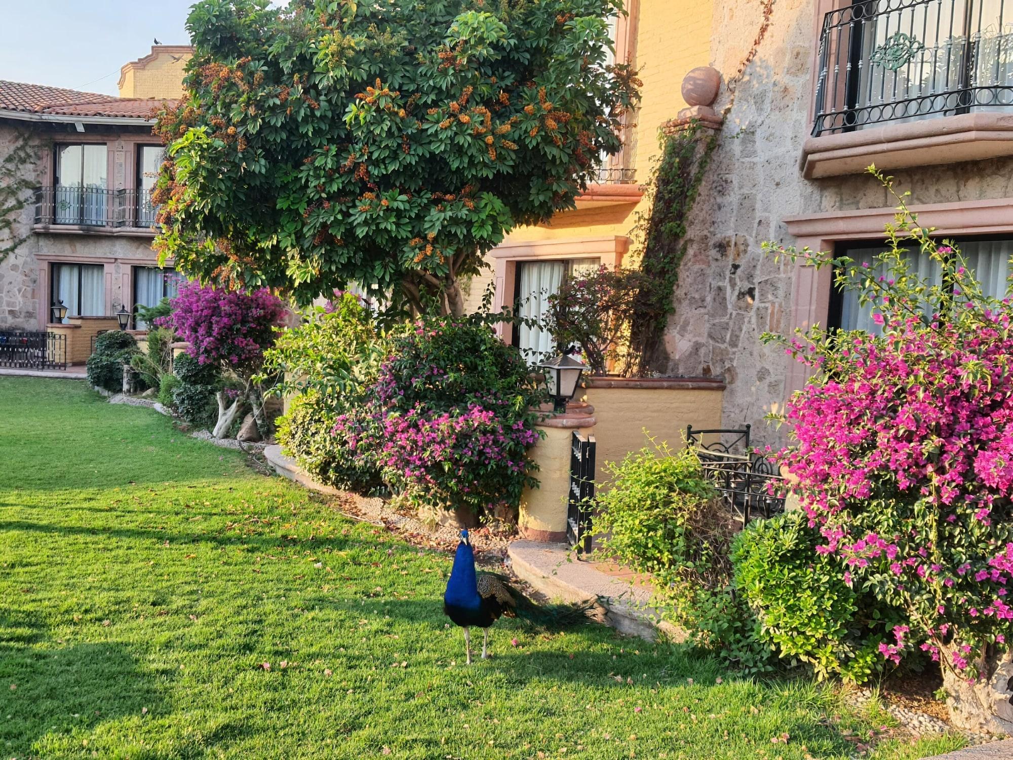 Gran Hotel Hacienda De La Noria Ακουασκαλιέντες Εξωτερικό φωτογραφία Peacock at the Hotel